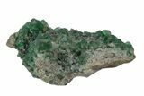 Fluorescent Green Fluorite With Galena - Rogerley Mine, England #173997-1